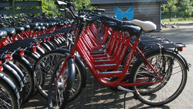 fietsen-00d2-2
