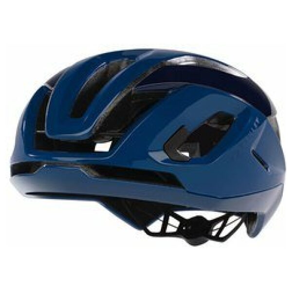 Oakley Aro3 Endurance Eu (L)