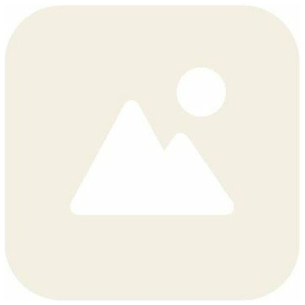 Alpina stuurbocht 22 Clubb zilver - Afbeelding 2