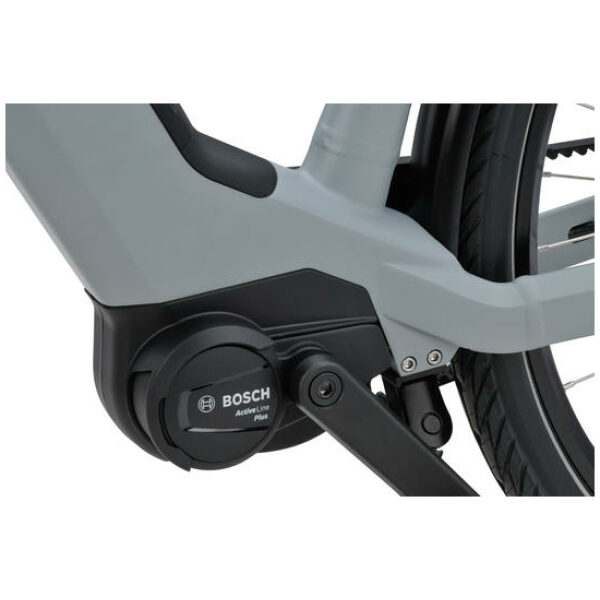 Sparta d-Rule Energy - 500Wh TYREGREY MATTE Heren - Afbeelding 3