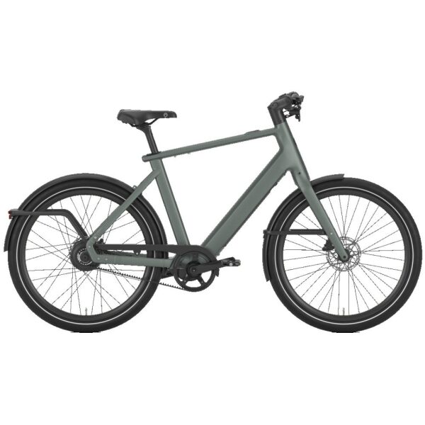 Gazelle Cayo C310 - 430Wh Twilight Green Mat Heren