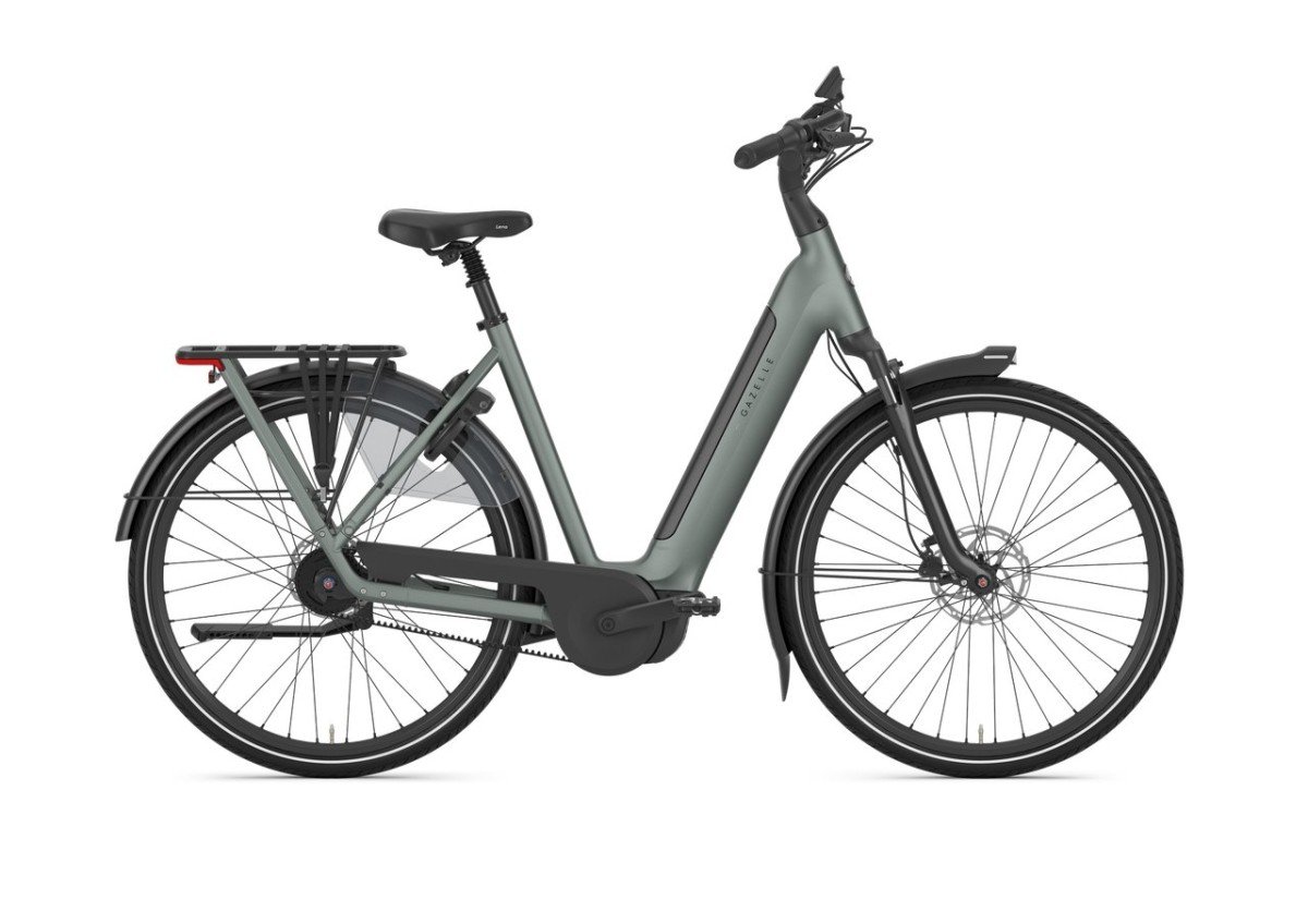 Gazelle Grenoble C5+ First Edition Twilight Green Mat DAMES