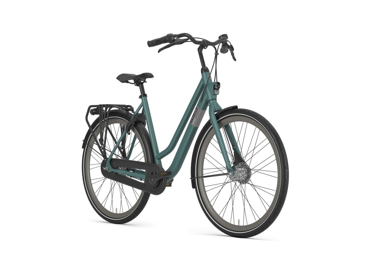 Gazelle Esprit - T7 Thyme Green Mat Dames