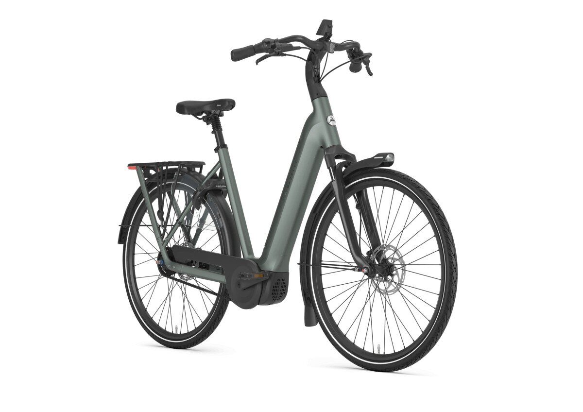 Gazelle Grenoble C5+ First Edition Twilight Green Mat DAMES - Afbeelding 4