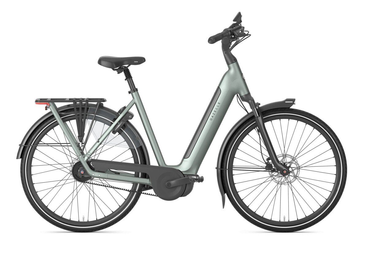 Gazelle Grenoble C5+ First Edition Twilight Green Mat DAMES