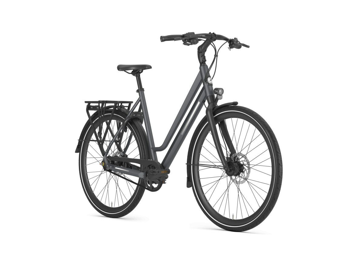 Gazelle Chamonix S11 Cloud Grey Mat DAMES - Afbeelding 2