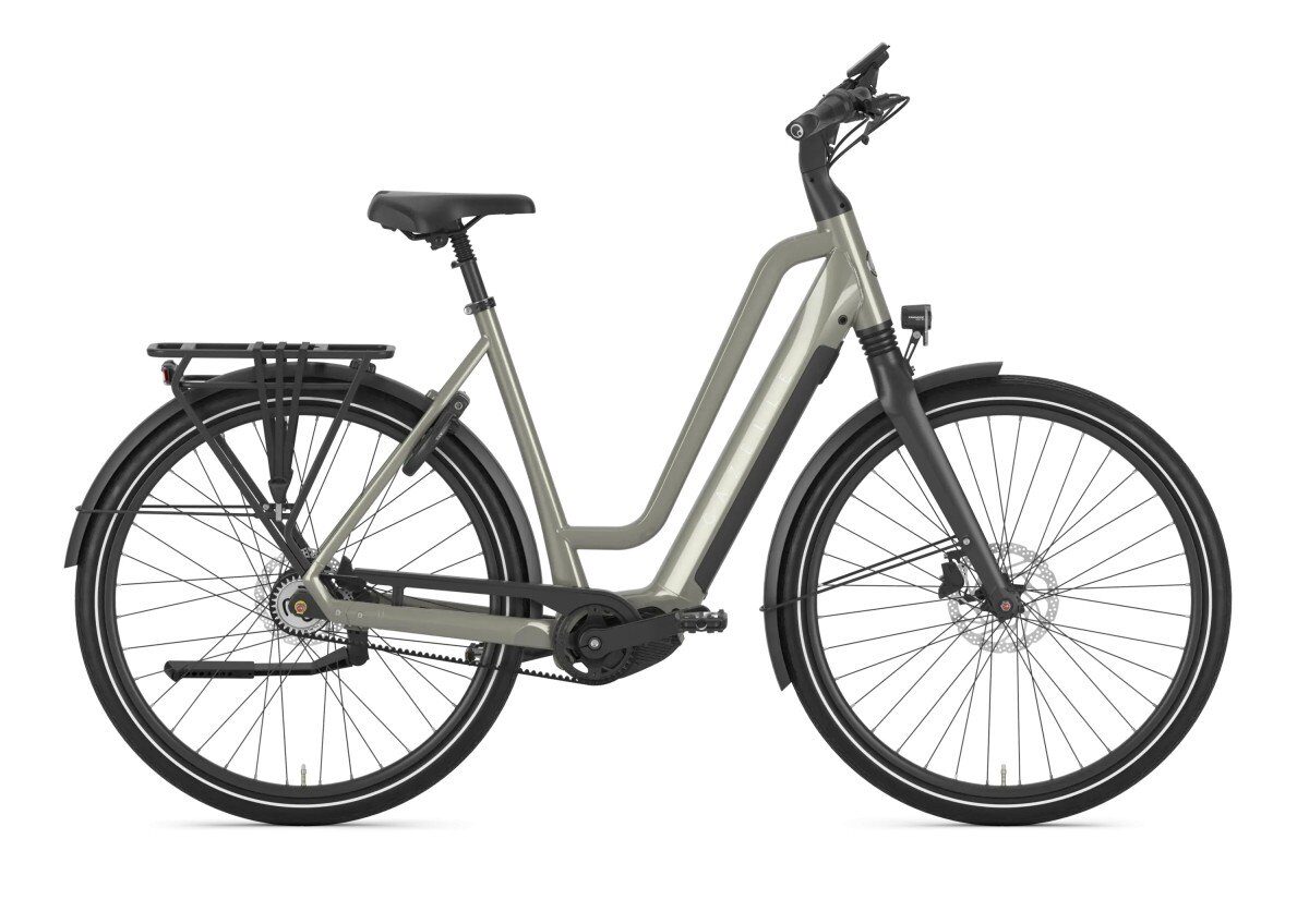 Gazelle Chamonix C5 Clay Green Glans DAMES